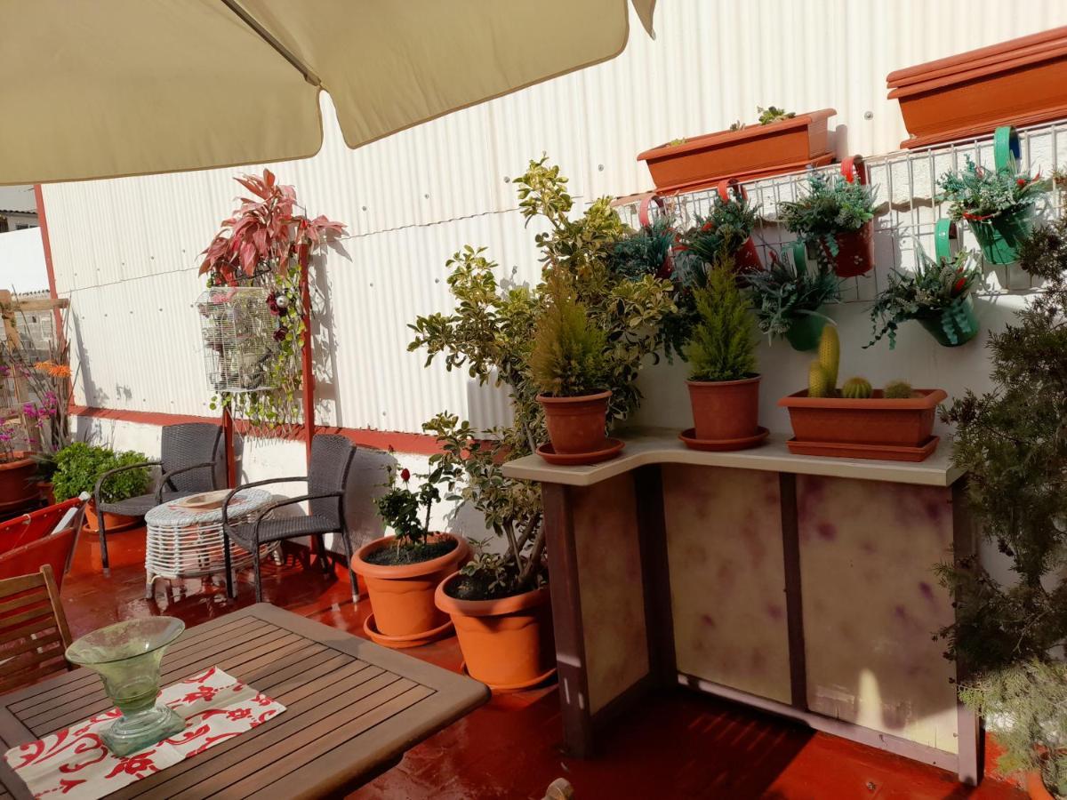 Apartamento La Terraza Vinarós Exterior foto